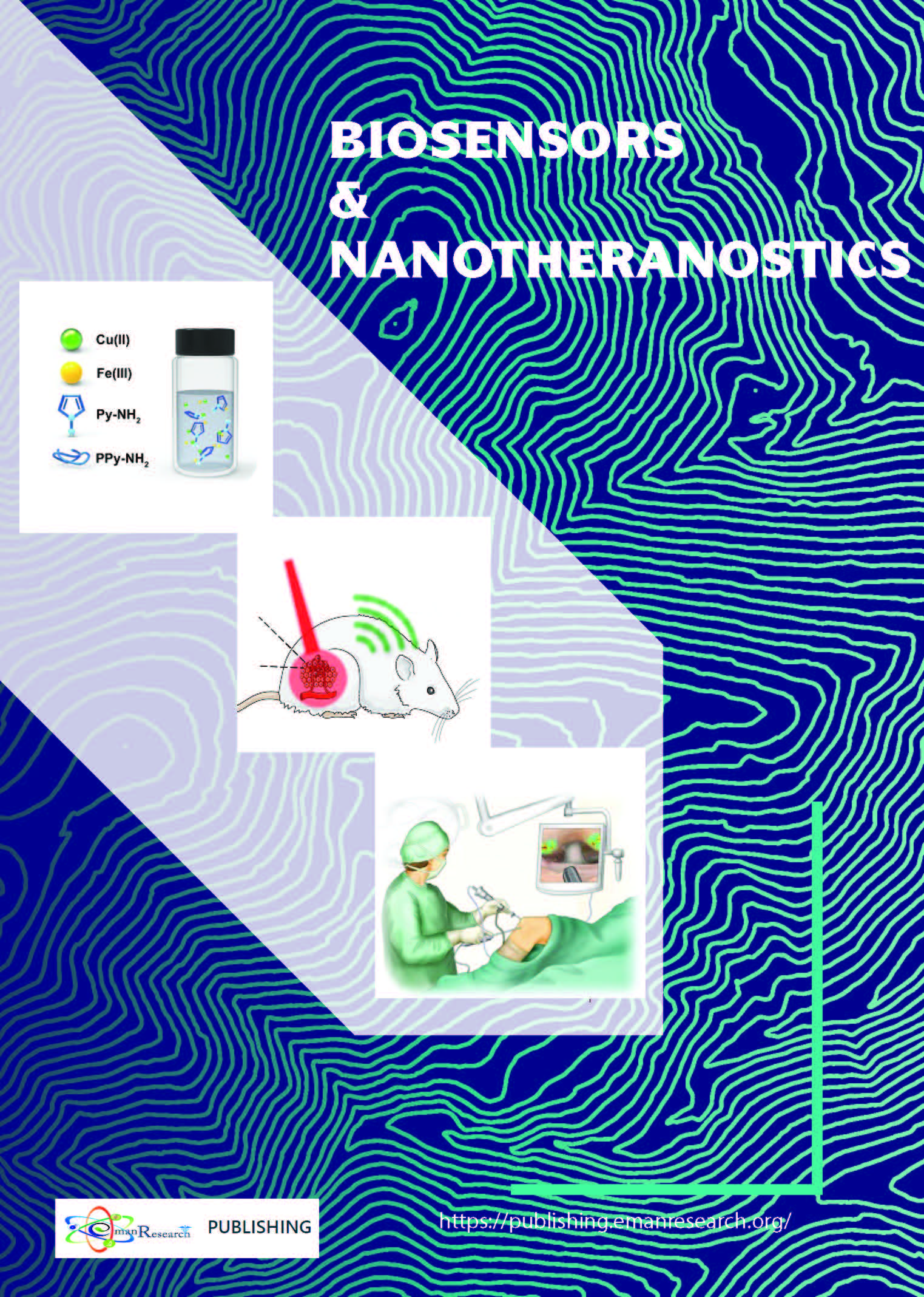 Biosensors and Nanotheranostics